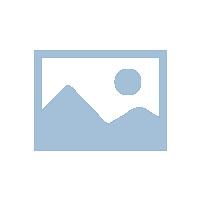 網(wǎng)站優(yōu)化技術(shù)和策略